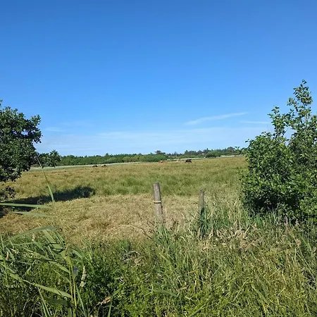 Σπίτι διακοπών 24 Person In